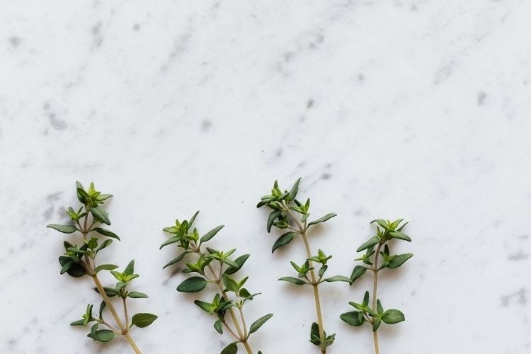 pexels_kitchen-herbs