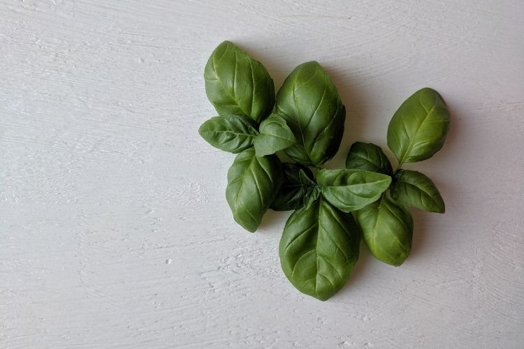 pexels_kitchen-herbs