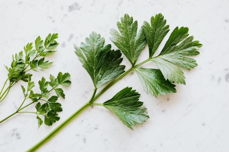 pexels_kitchen-herbs