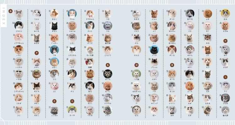 日本100只猫图监 ねこさま名监100