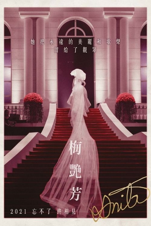 电影《梅艳芳》ANITA 剧照
