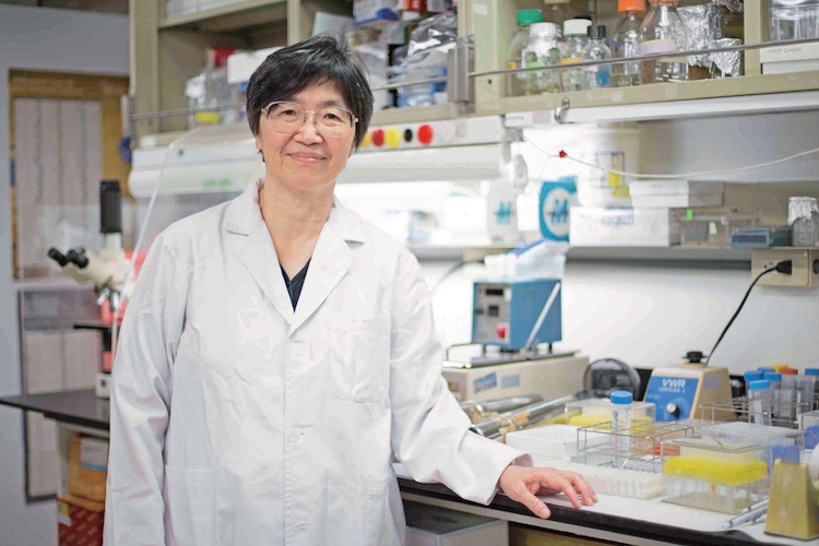 中研院分子生物研究所的鄭淑珍院士,與團隊透過實驗發現生物體內的「RNA剪接師團隊」。