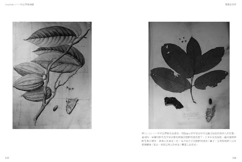《蒐藏全世界》内页