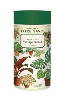 Cavallini 室內植物 House Plants