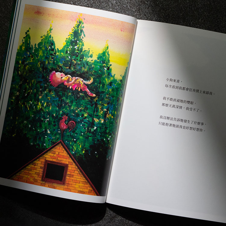 几米《星星是暗夜的眼睛》内页
