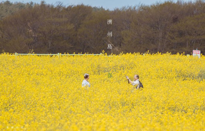 濟州島色Colors of Jeju