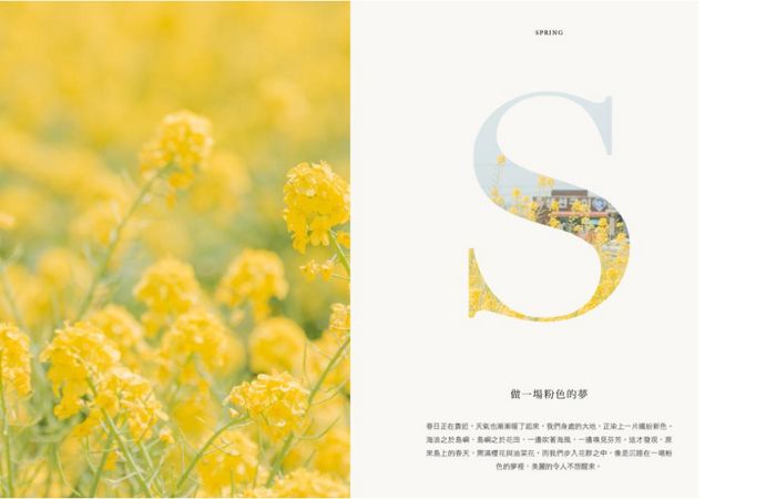 濟州島色Colors of Jeju