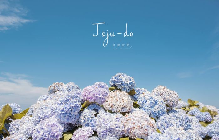 濟州島色Colors of Jeju