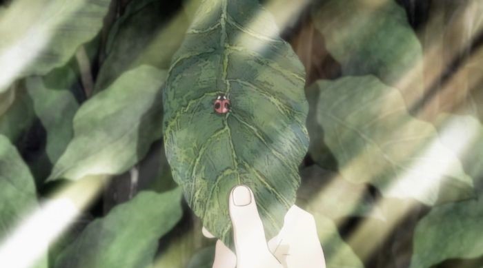 《三月的狮子》