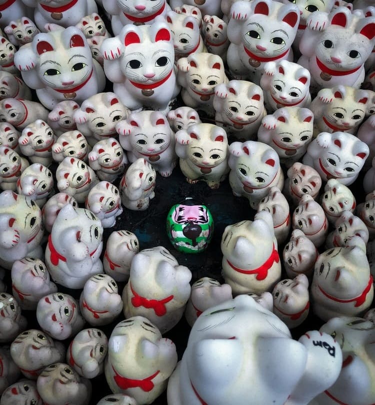 日本 許願 吉祥物 達摩 不倒翁 祈福 好運