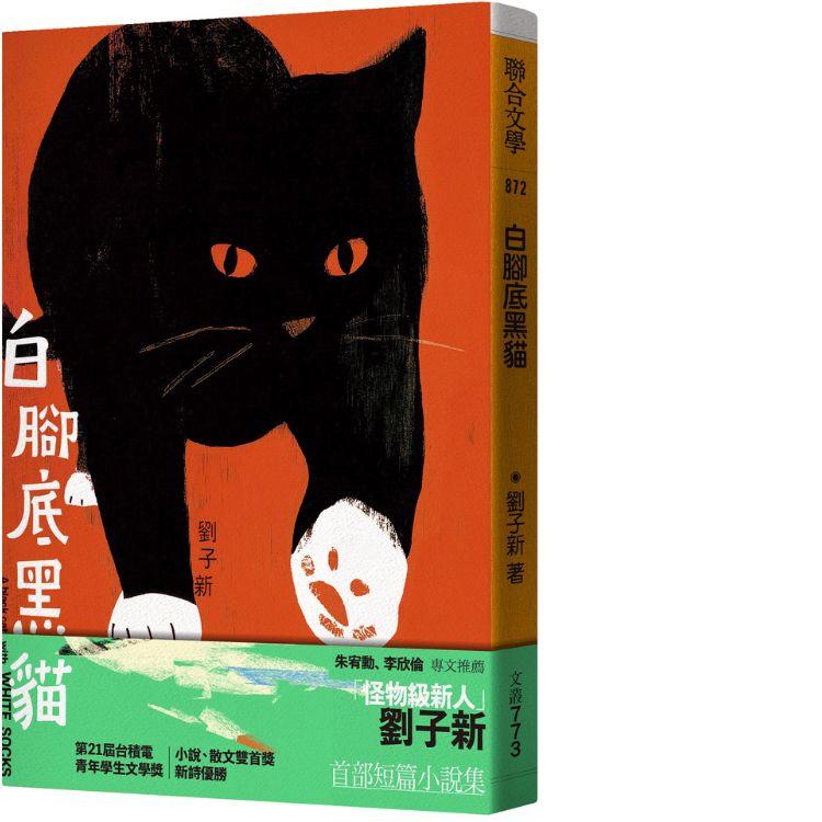 白脚底黑猫