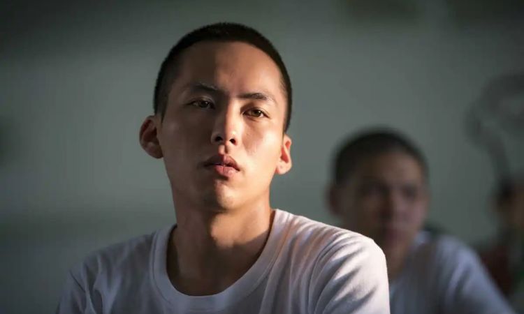 關於失去的電影:陽光普照