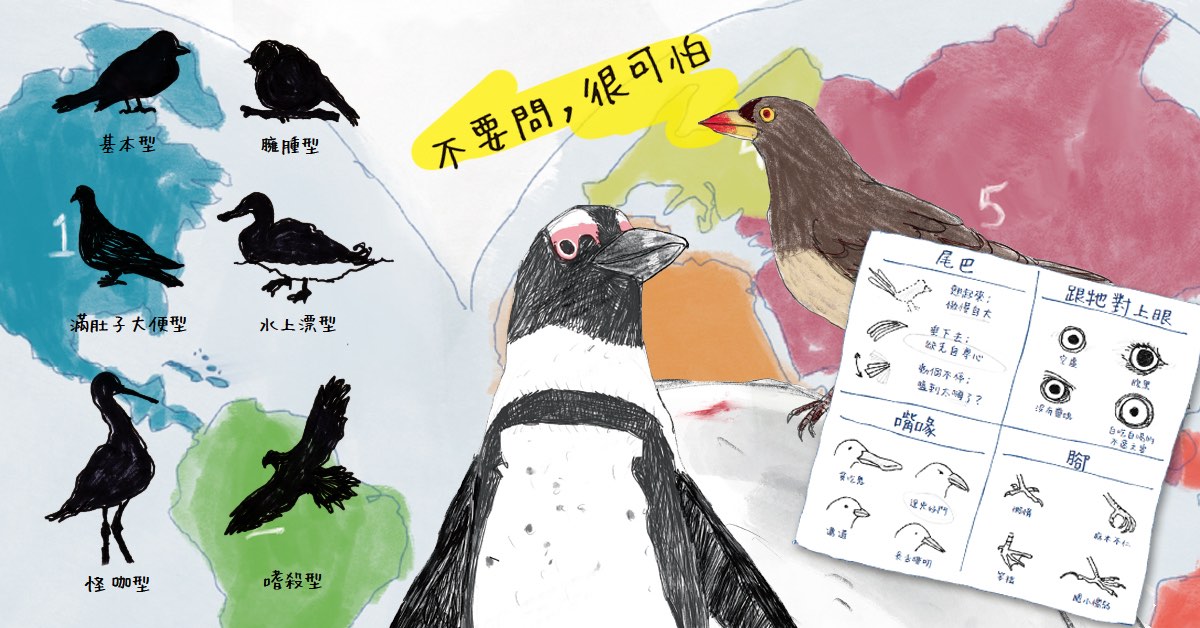 今天也鸟事一堆?!耻度全开、犀利无比的认鸟指南,让你一笑解千愁