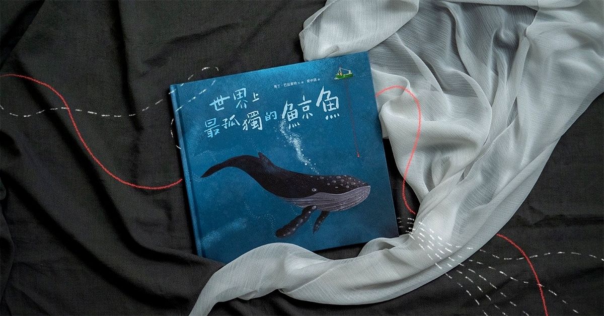 寂寞使你更自由?大人绘本推荐《世界上最孤独的鲸鱼》在一个人的路上,看见远方的光