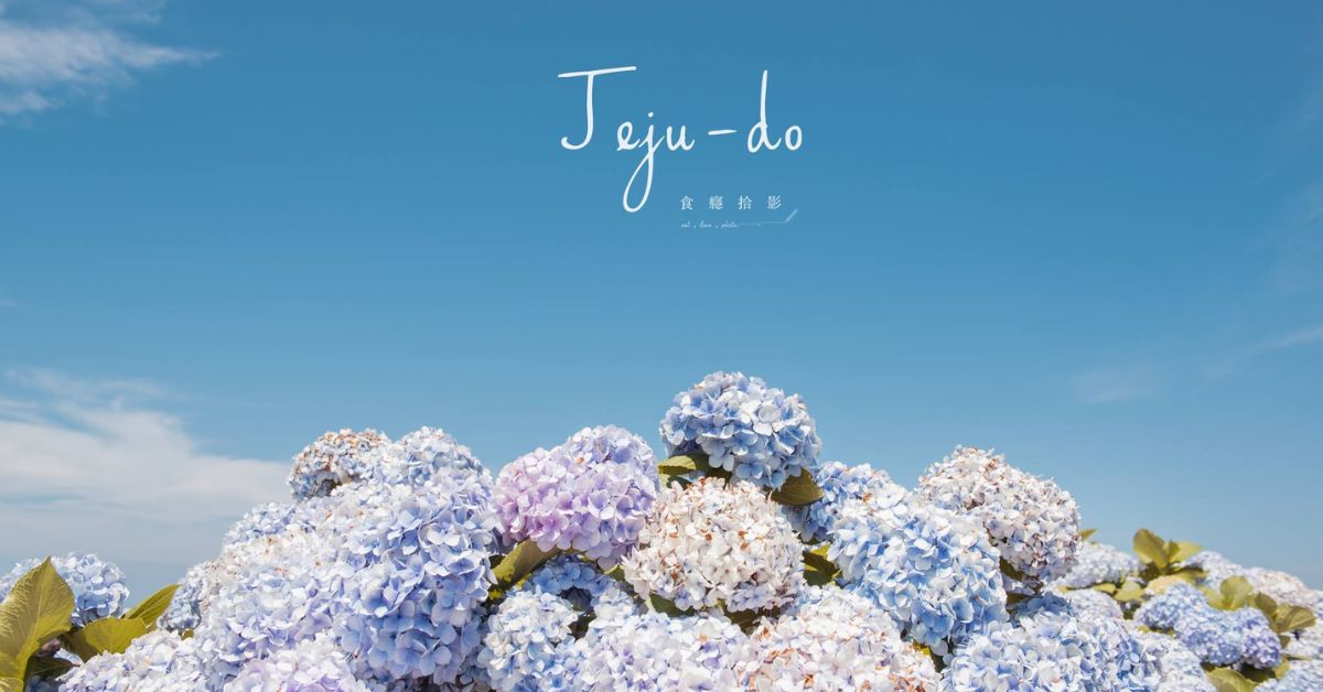 想要保持好心情,那就用《濟州島色Colors of Jeju》填滿整個世界!