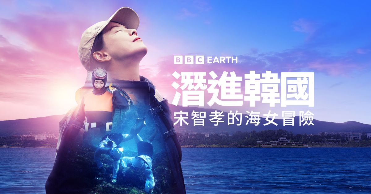 實境深入濟州島的海女文化,跟著《潛進韓國:宋智孝的海女冒險》感受大自然帶來的磨練與挑戰