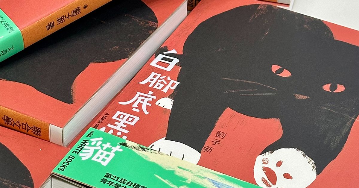 怪物新人作家刘子新首部短篇小说集《白脚底黑猫》，反转事物本质，向世界提出深刻反诘
