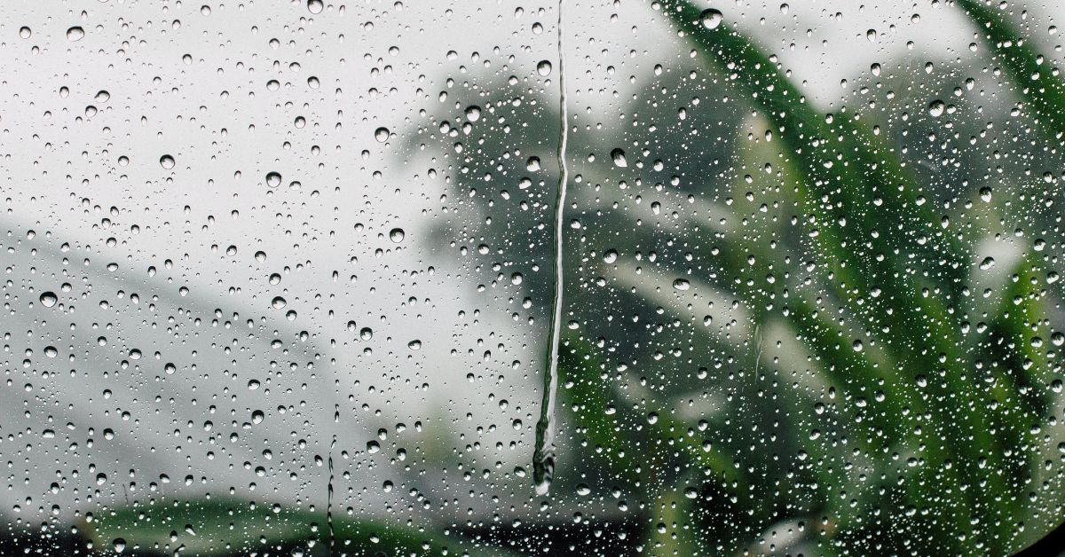 【上班族/插畫家袁芋圓的週休二日】如果六日有雨天就太好了,可以待在家一直畫畫——《提案》12月號「今日公休|假期的使用指南」
