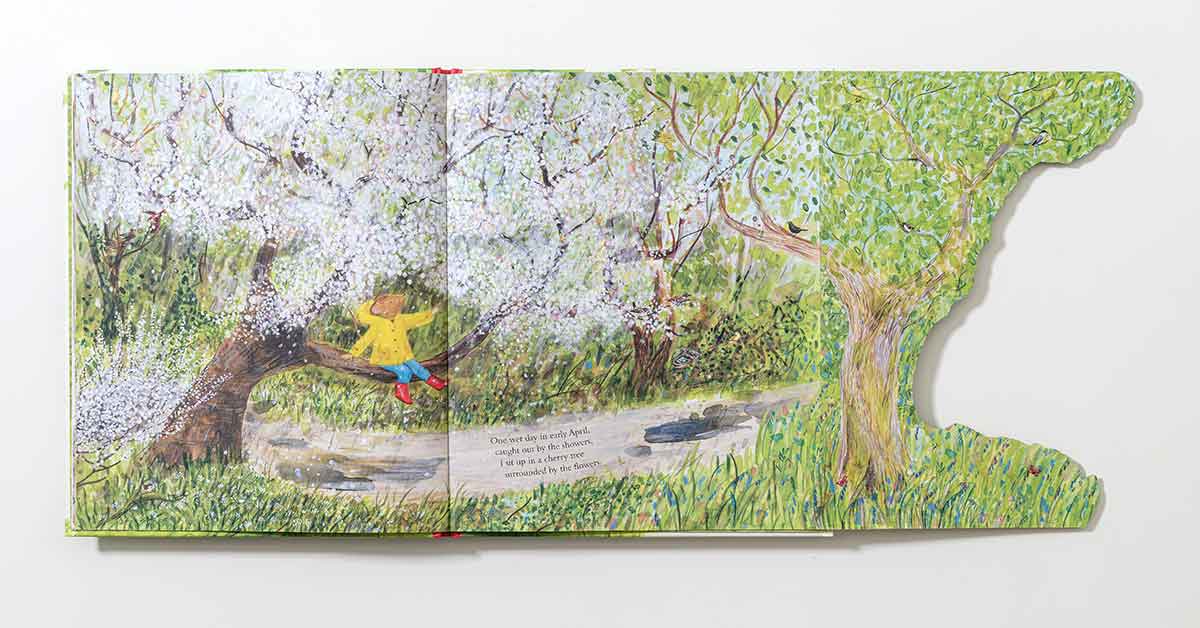 鼠之森《Mouse's Wood:A Year in Nature》
