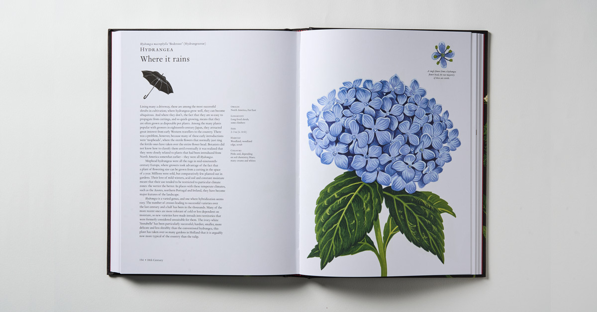 跨界读本:100朵花卉的故事《The Story of Flowers》