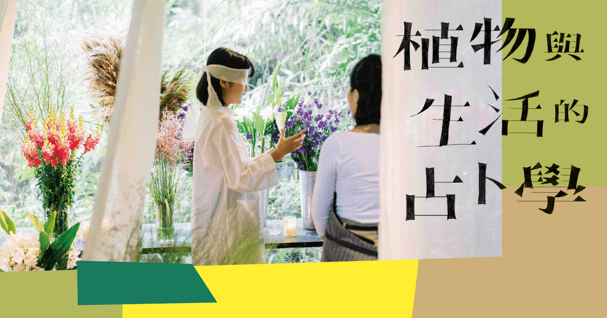 【花占测验】植物与生活的占卜学;选一朵花,测出你的生活状态!